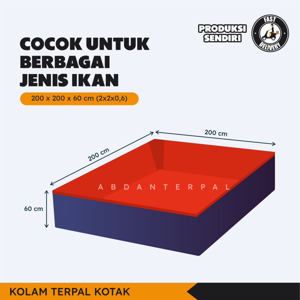 Harga Kolam Terpal Kotak 200x200x60